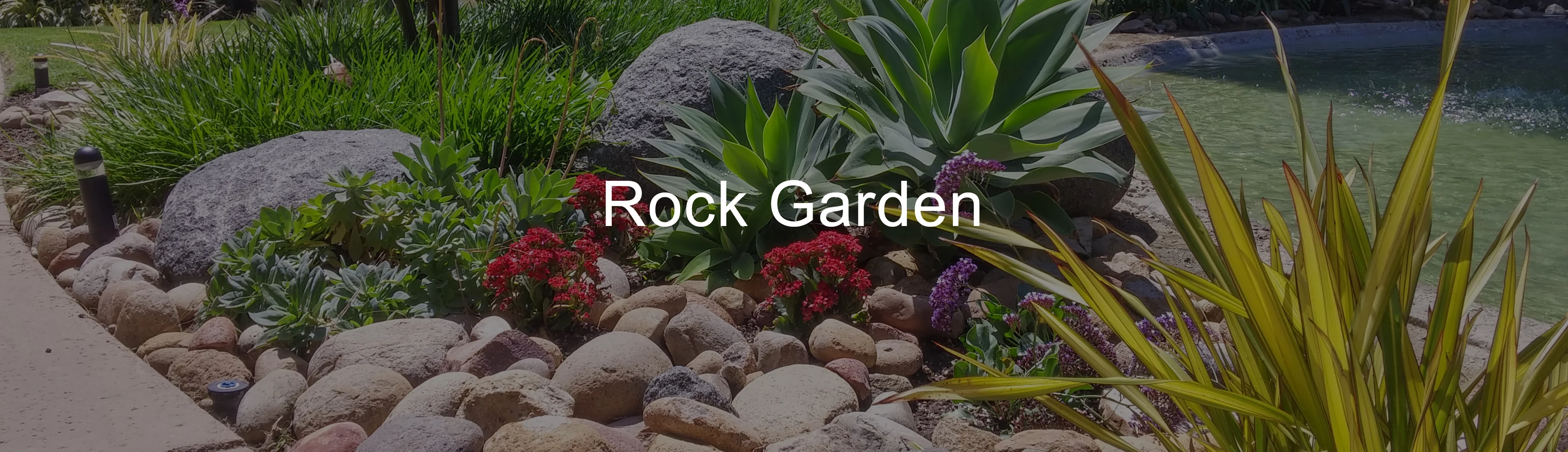 Rock garden maintenance