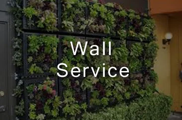 wall garden maintenance